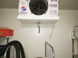 Projekt: Verbundkälteanlage für eine Kantine mit 5 Kühlräumen und 14 Kühlstellen<br>Foto: Verdampfer in einem Kühlraum