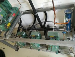 Projekt: Verbundkälteanlage für eine Kantine mit 5 Kühlräumen und 14 Kühlstellen<br>Foto: Verbundkälteanlage in der Technikzentrale